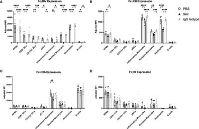 FcγRIV is required for IgG2c mediated enhancement of RBC alloimmunization